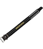 ゴールドジム　パワーベルト　G3351 Amazon | ゴールドジム(GOLD`S GYM) パワーベルト シングルピン